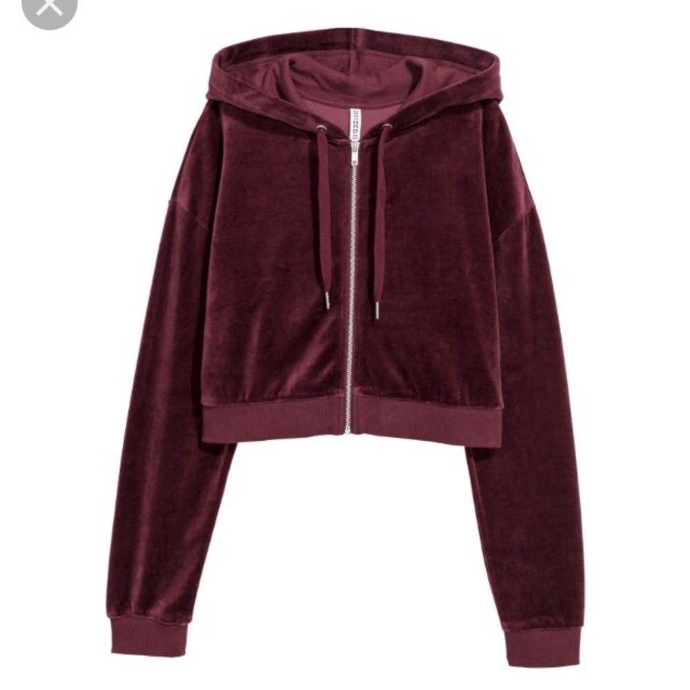 H&M Cropped Hooded Velour Jacket